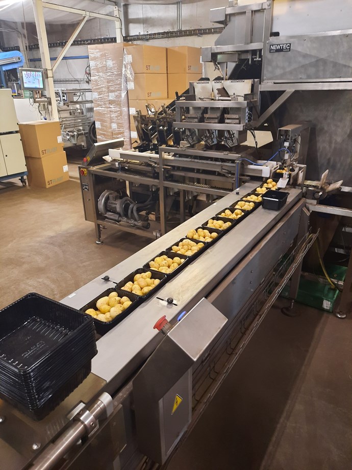Small black plastic trays containing potatoes on a conveyor belt, moving away from a packing machine in a factory.