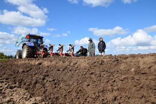 Establishing the beetle bank structure