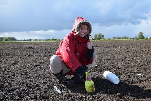 Placing a pitfall trap for insects