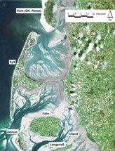 Sylt beach and shoreface nourishments