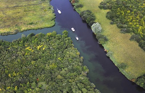 Blue Green algae leeching into a river