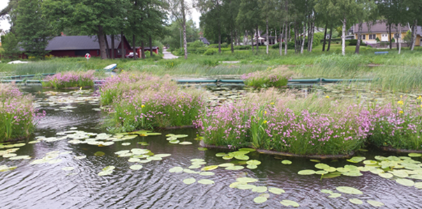 an example of constructed wetlands and screens from another city in Sweden
